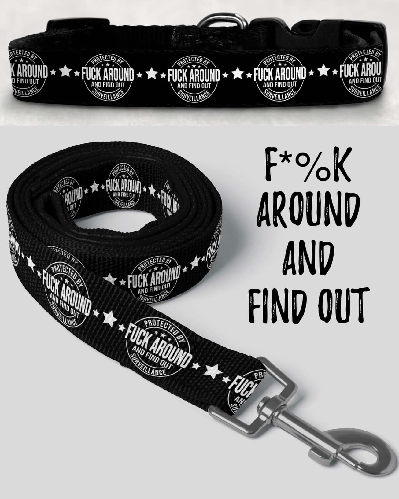 F Around and Find Out Leash & Collar (JAAM)