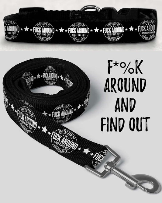 F Around and Find Out Leash & Collar (JAAM)