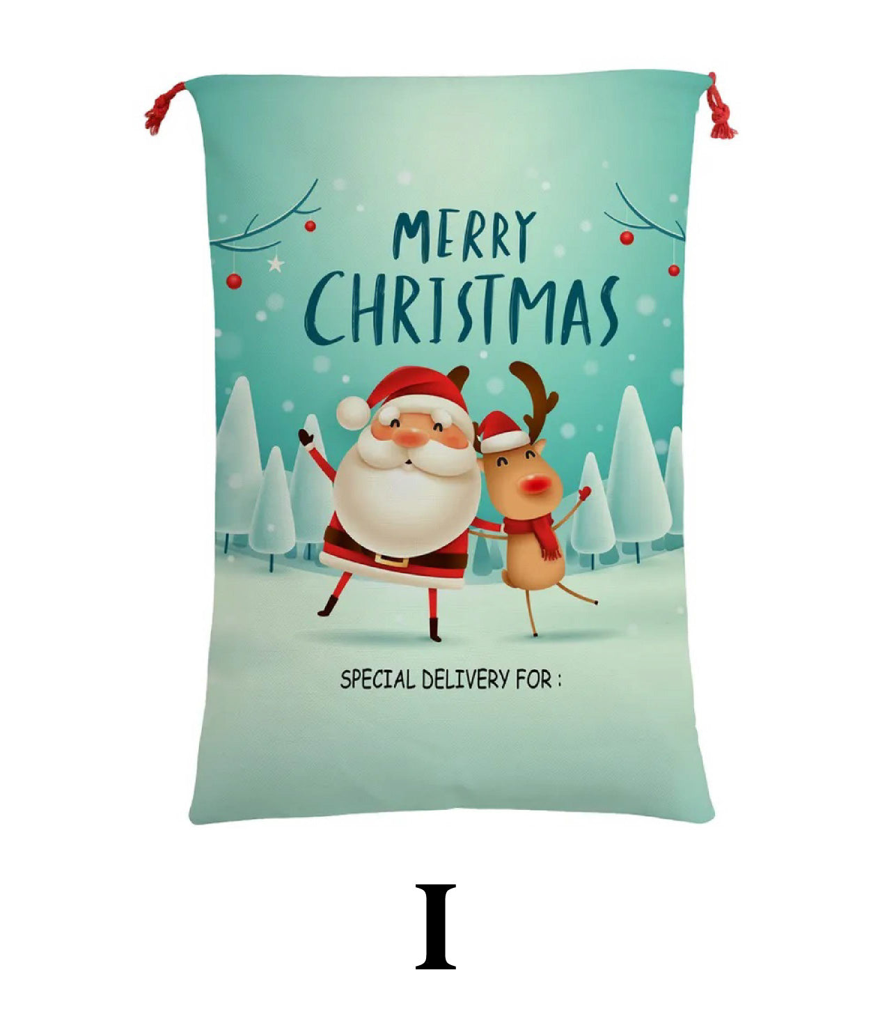 Santa Sack I