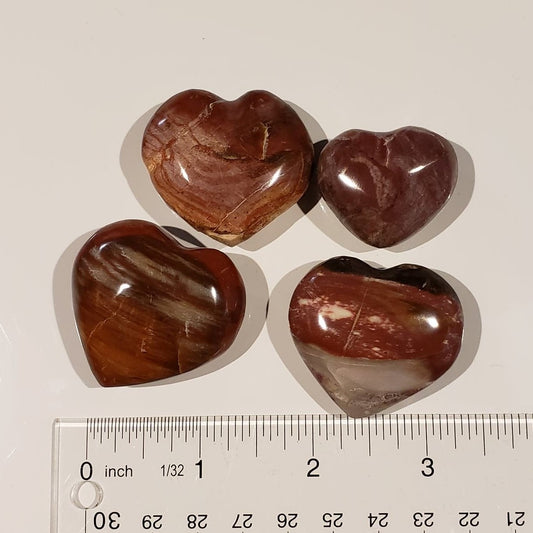 Petrified Wood Hearts