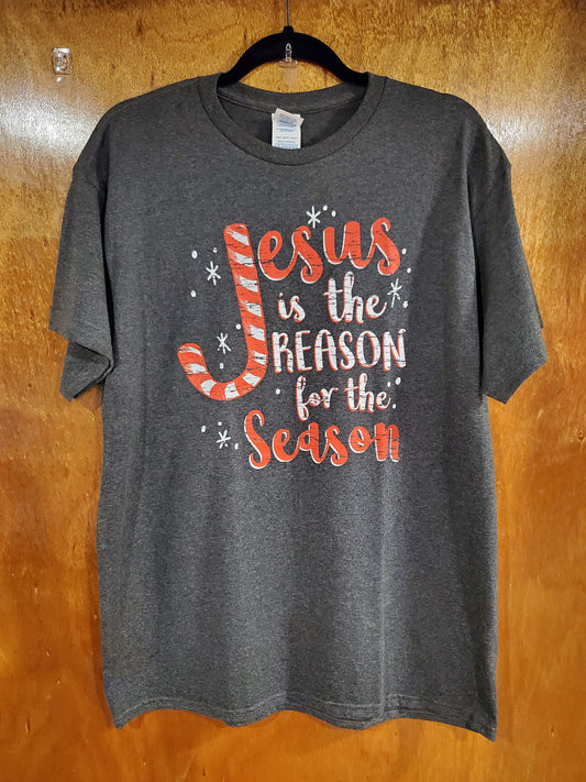 Jesus Is the Reason Shirt